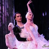 Pase de prensa, ‘El lago de los Cisnes’ Classical Russian Ballet