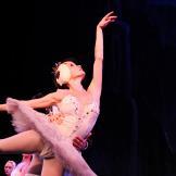 Pase de prensa, ‘El lago de los Cisnes’ Classical Russian Ballet