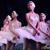 Pase de prensa, ‘El lago de los Cisnes’ Classical Russian Ballet