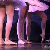 Pase de prensa, ‘El lago de los Cisnes’ Classical Russian Ballet