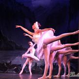 Pase de prensa, ‘El lago de los Cisnes’ Classical Russian Ballet