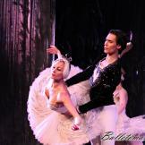 Pase de prensa, ‘El lago de los Cisnes’ Classical Russian Ballet