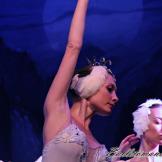 Pase de prensa, ‘El lago de los Cisnes’ Classical Russian Ballet