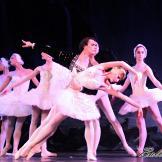 Pase de prensa, ‘El lago de los Cisnes’ Classical Russian Ballet
