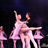 Pase de prensa, ‘El lago de los Cisnes’ Classical Russian Ballet