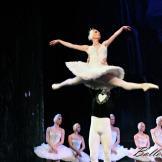 Pase de prensa, ‘El lago de los Cisnes’ Classical Russian Ballet