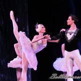 Pase de prensa, ‘El lago de los Cisnes’ Classical Russian Ballet
