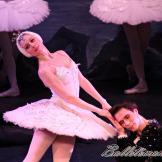 Pase de prensa, ‘El lago de los Cisnes’ Classical Russian Ballet