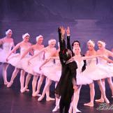 Pase de prensa, ‘El lago de los Cisnes’ Classical Russian Ballet