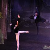 Pase de prensa, ‘El lago de los Cisnes’ Classical Russian Ballet