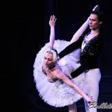 Pase de prensa, ‘El lago de los Cisnes’ Classical Russian Ballet