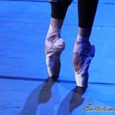 Pase de prensa, ‘El lago de los Cisnes’ Classical Russian Ballet