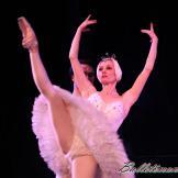Pase de prensa, ‘El lago de los Cisnes’ Classical Russian Ballet