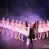 Pase de prensa, ‘El lago de los Cisnes’ Classical Russian Ballet