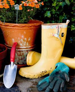 Alquiler de Huertos en la Ciudad