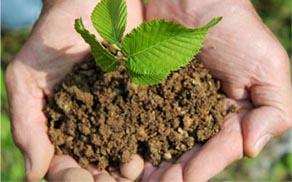 Alquiler de Huertos en la Ciudad