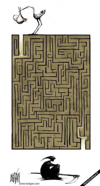 Ah la pulpa, la vieja y dulce pulpa reparadora