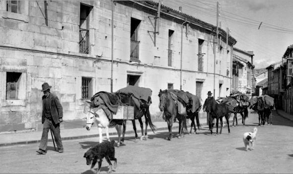 7 instantáneas para un mundo que expira