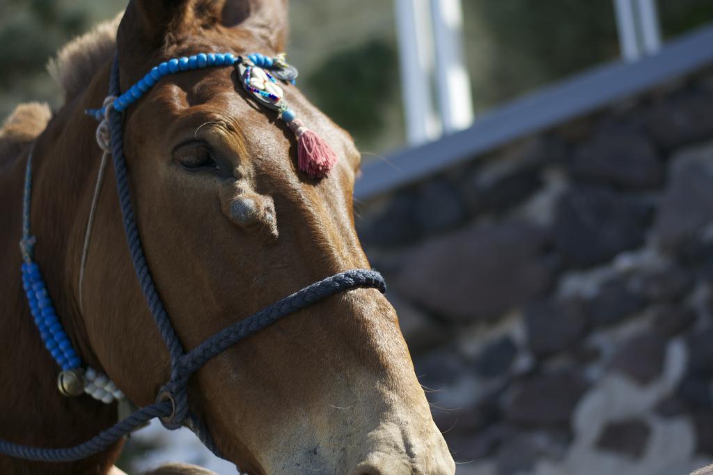 Welcome to Santorini photo DSC_0111_zps72778260.jpg