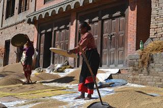 Día 32: Caminando desde Nagarkot a Changu Narayan. Bhaktapur.