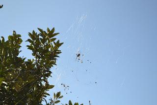 Día 32: Caminando desde Nagarkot a Changu Narayan. Bhaktapur.