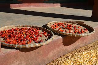Día 32: Caminando desde Nagarkot a Changu Narayan. Bhaktapur.