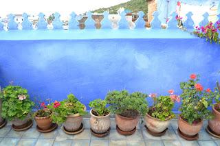 Día 43: Recorriendo el Norte del Rif. De Chaouen a Tetouan, Assilah y alrededores de Tánger.