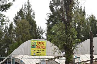 Día 1: Bienvenida a Ciudad de México y Xochimilco. 23 de septiembre de 2012.