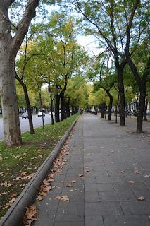 Día 45: Recorriendo Madrid por Segunda Vez...