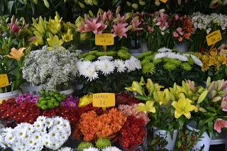 Día 45: Recorriendo Madrid por Segunda Vez...