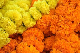 Día 29: Paseando Varanasi (Benarés). Fiesta del Sacrificio.