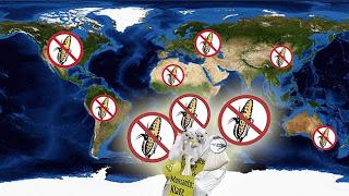 Grito internacional contra Monsanto en 298 ciudades del mundo