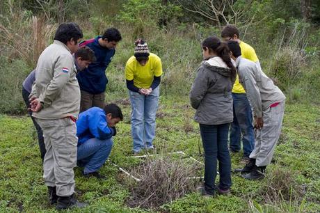 Conservación, investigación, educación y seguridad de la biodiversidad en Paraguay