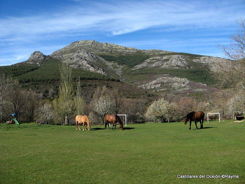 Castillar de Arriba y Castillar de Abajo, Valverde de los Arroyos (Sierra de Ayllón, Guadalajara) 5-5-13