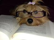 Ganad@r concurso gafas blogueras.