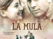profundidad: mula