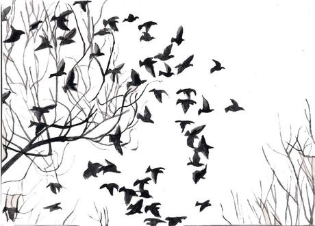 bird-flock La sincronía