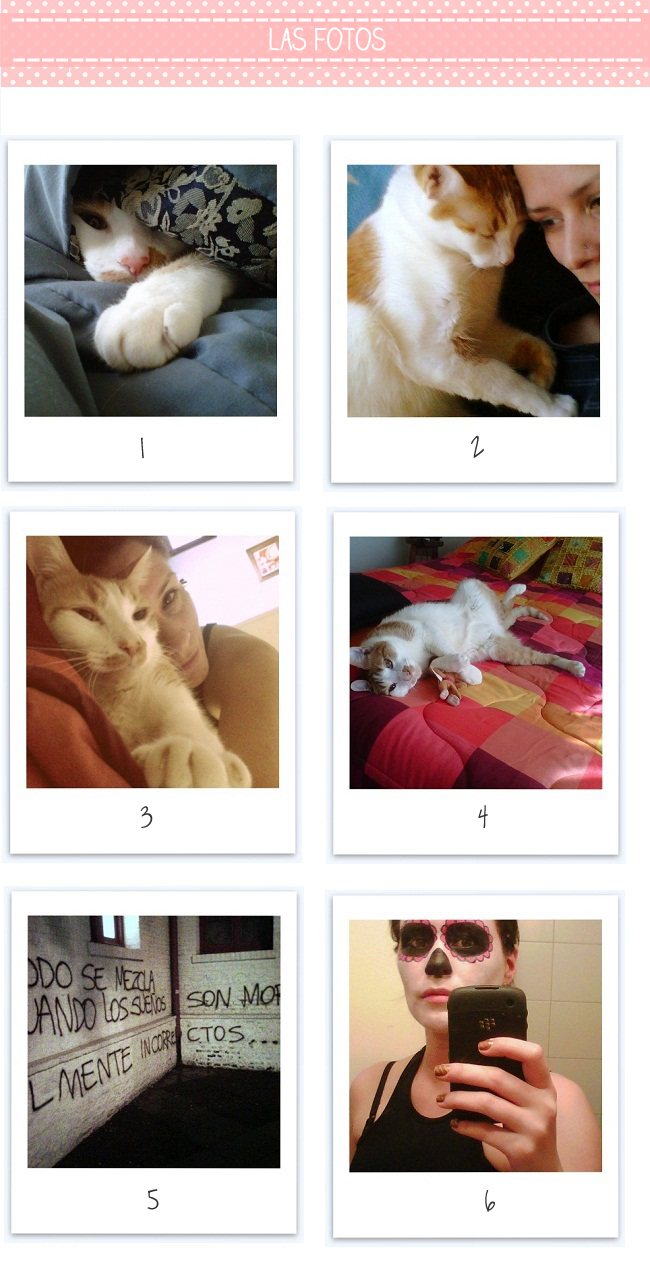 Casual Friday/ Estilo 2