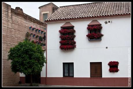 Rejas de Córdoba