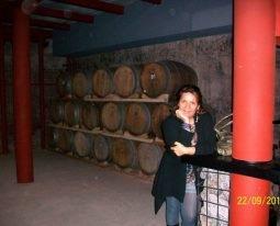 Mendoza un lugar para volver siempre ... un Hostel para no perdérselo El HOSTEL INTERNACIONAL Mendoza un lugar para volver siempre ... un Hostel para no perdérselo El HOSTEL INTERNACIONAL