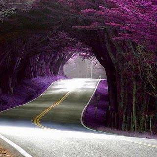 Los 10 errores metafísicos más comunes en el camino espiritual