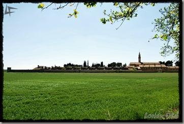 CartujaAulaDei (94) CartujaAulaDei (94)