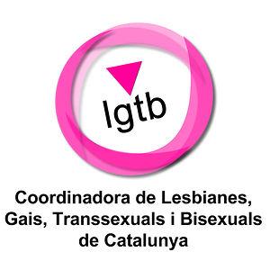 'Cuando cada día se registran casos de LGTBfobia es necesaria una ley específica para prevenir y erradicarlos'