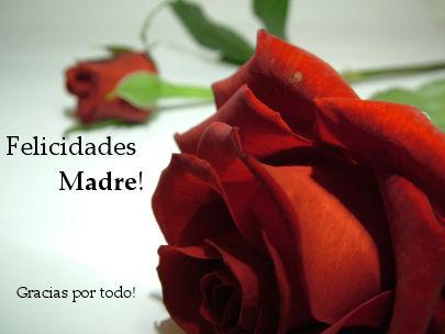 Feliz dia de las madres