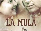 mula (Michael Radford, 2.013)