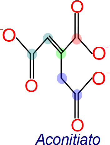 Citrato a isocitrato, ciclo de Krebs, reacción 2