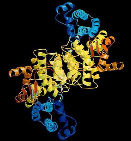 Oxaloacetato a citrato