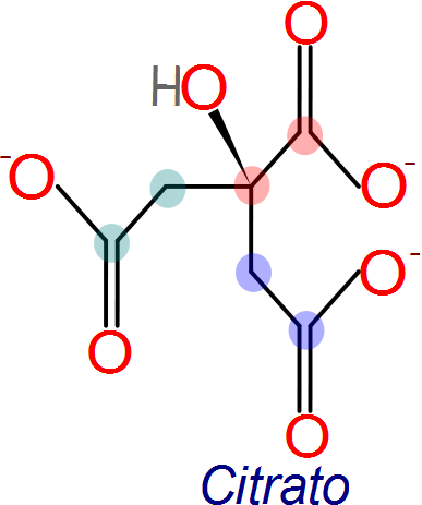 Oxaloacetato a citrato