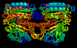 Definición del término apoptosis