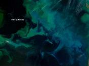 Remolinos fitoplancton Golfo Vizcaya